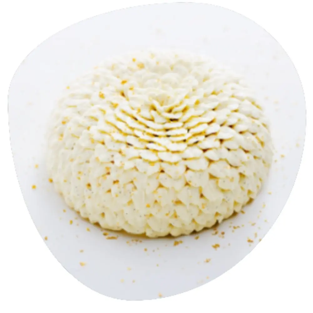 Main Images (46).webp