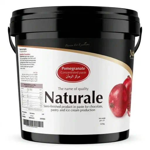 [20.0464] Pomegranate Concentrated Paste Natural
