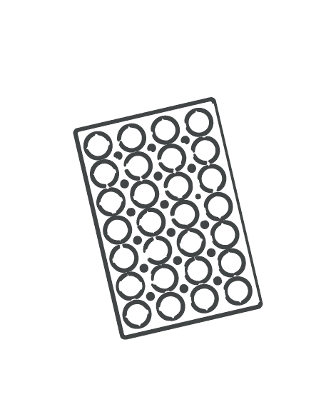 Mold
