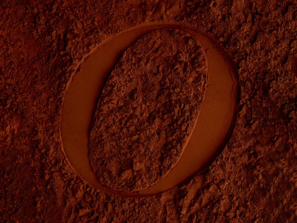 cq5dam.web.1280.1280 (5).webp